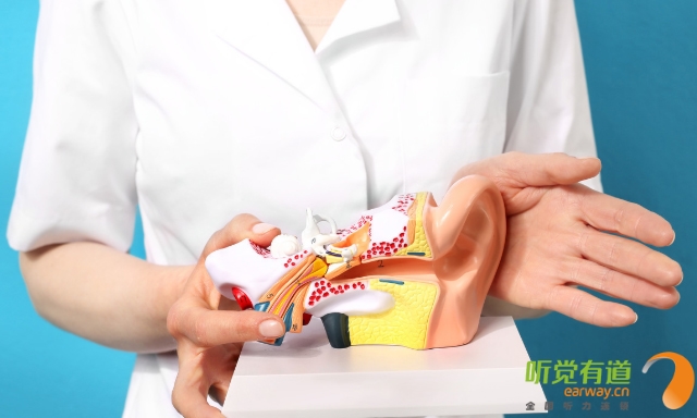 聽(tīng)覺(jué)有道助聽(tīng)器